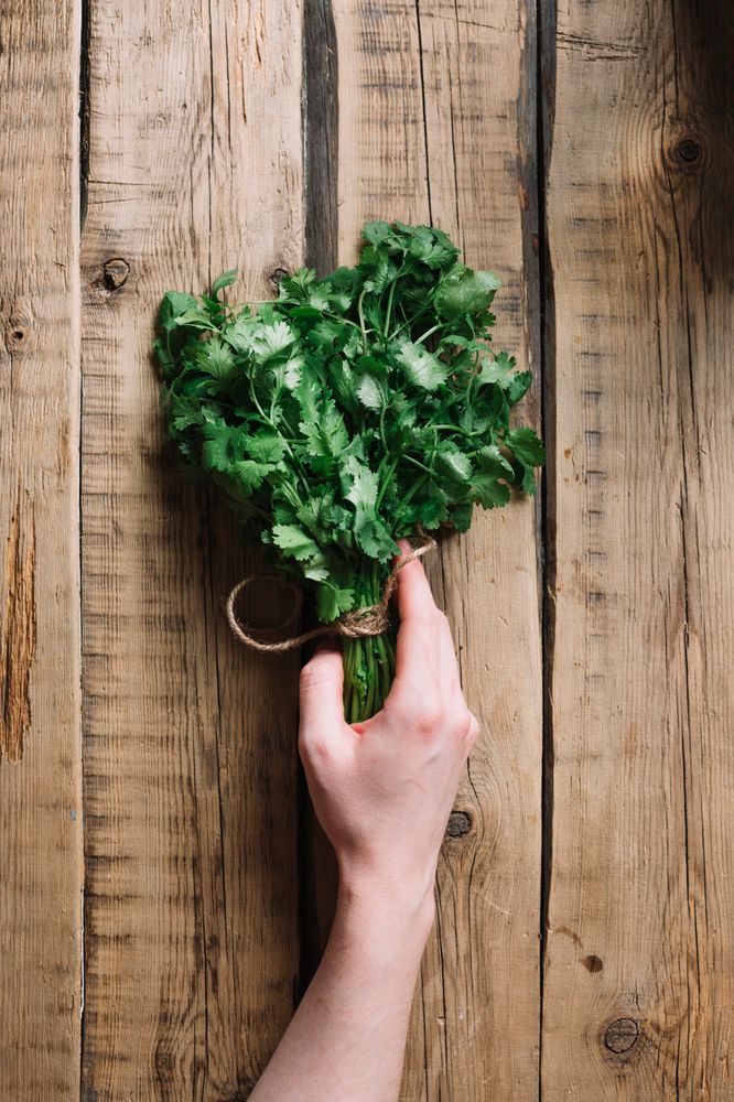 La rúcula es ideal para cultivar en espacios reducidos como balcones durante marzo