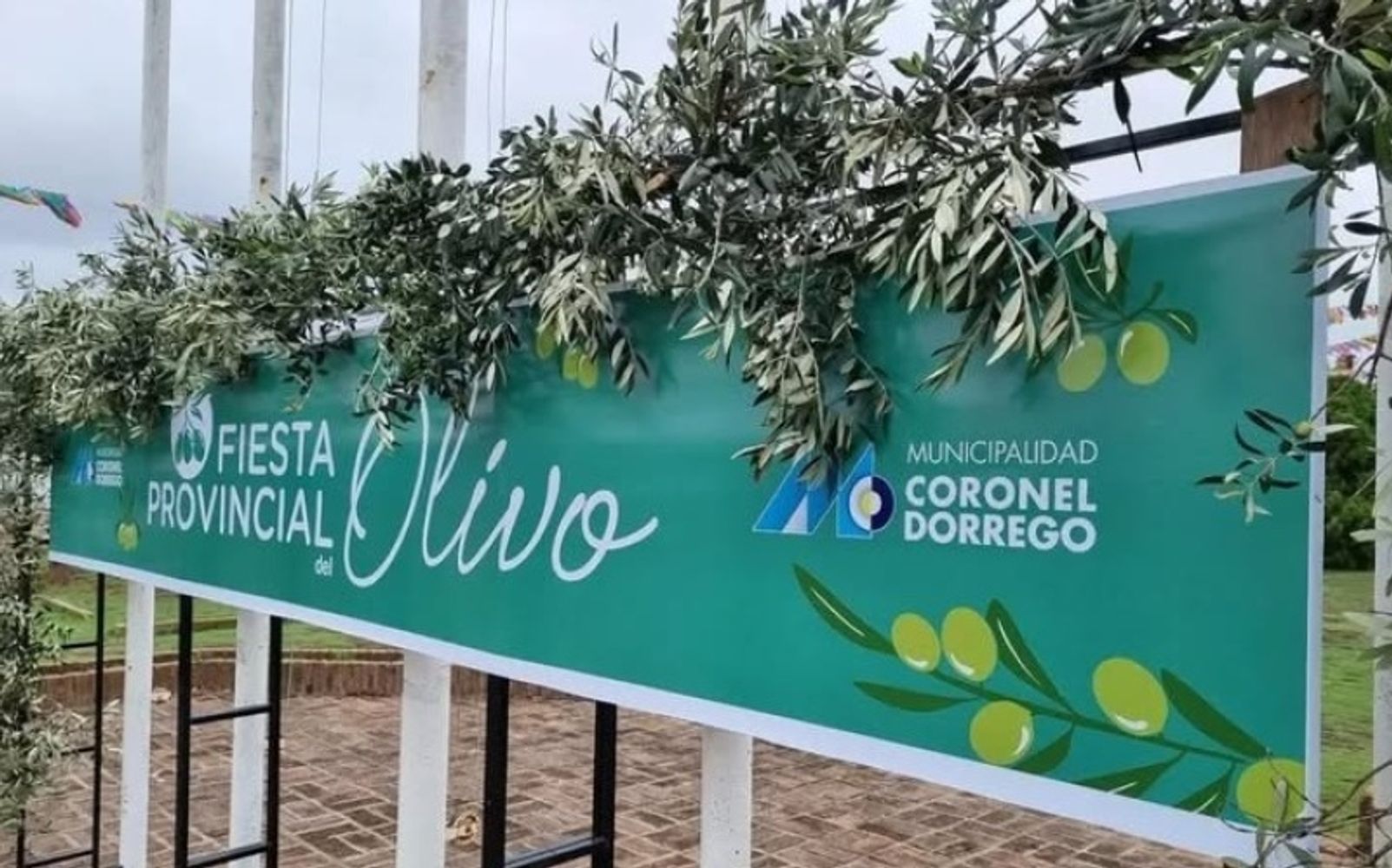 Fiesta del Olivo, Coronel Dorrego