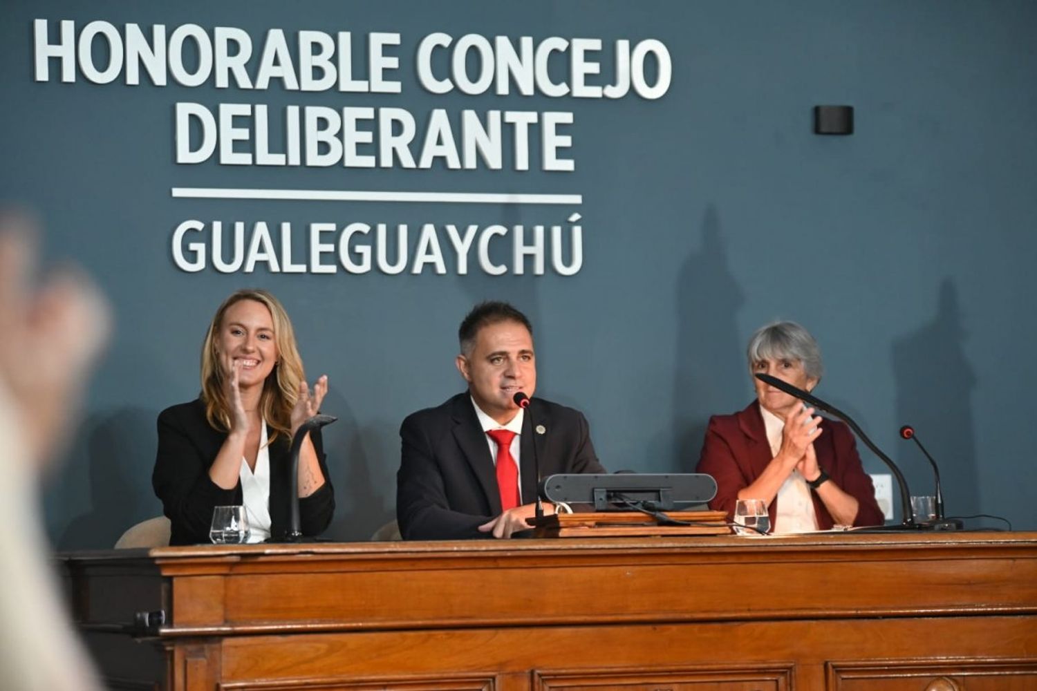 Davico. período de sesiones del HCD