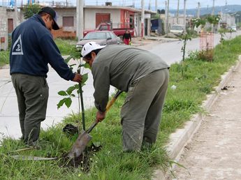 Un proyecto ambiental de estudiantes secundarios podría convertirse en ordenanza, en Jujuy