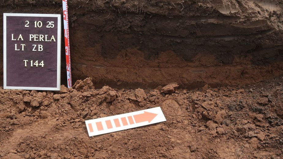 La Perla: tras 50 años de silencio, la tierra de Córdoba decidió hablar