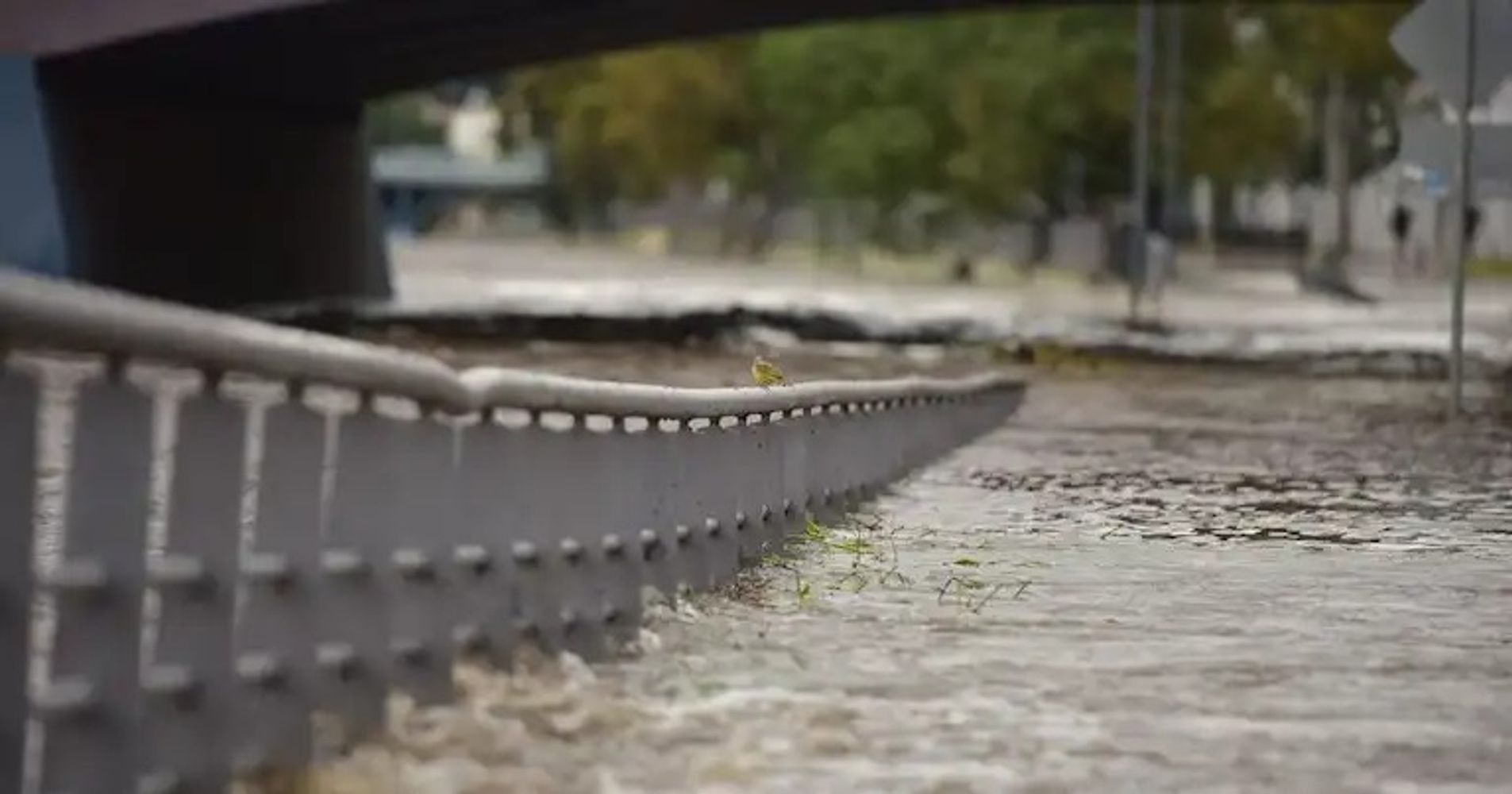 Clima en Córdoba.