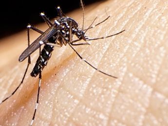 Refuerzan acciones de prevención contra el dengue en Carlos Paz