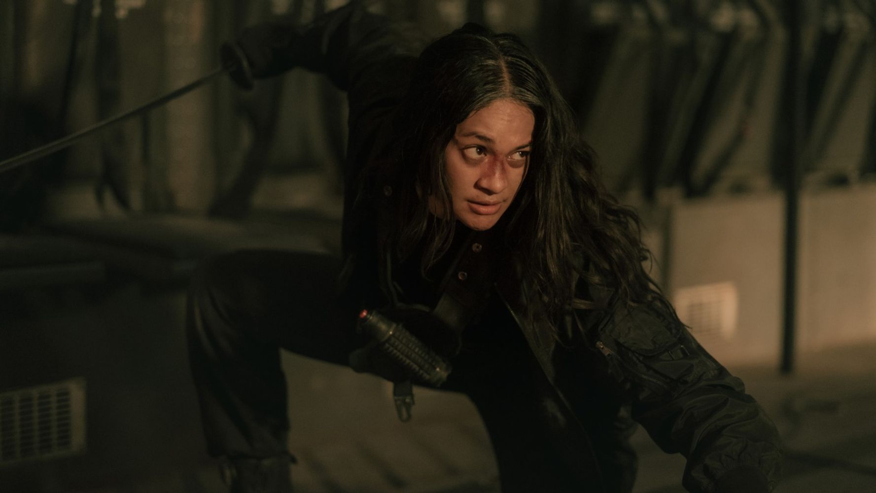 La película de Netflix recomendada se titula The Shadow Strays.