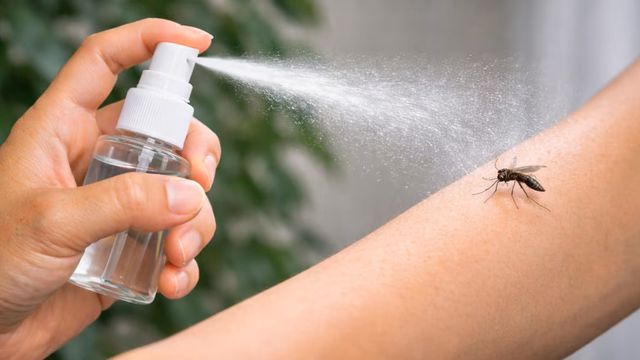 Repelente de mosquitos