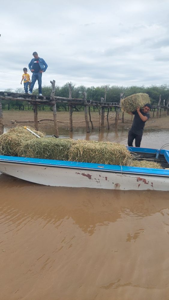 se entregan asistencias a damnificados