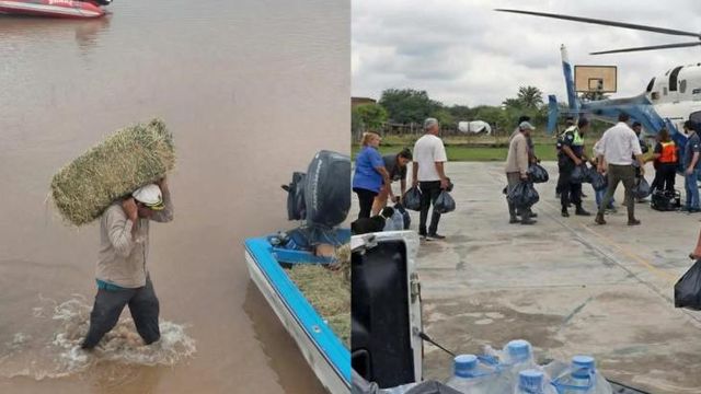 asistencias a damnificados
