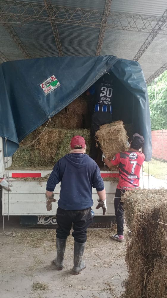 Ayuda a damnificados por las inundaciones