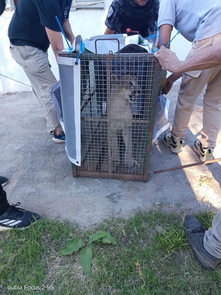 El animal fue contenido.
