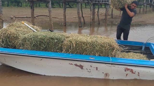 Los operativos debieron hacerse en lancha y helicóptero.