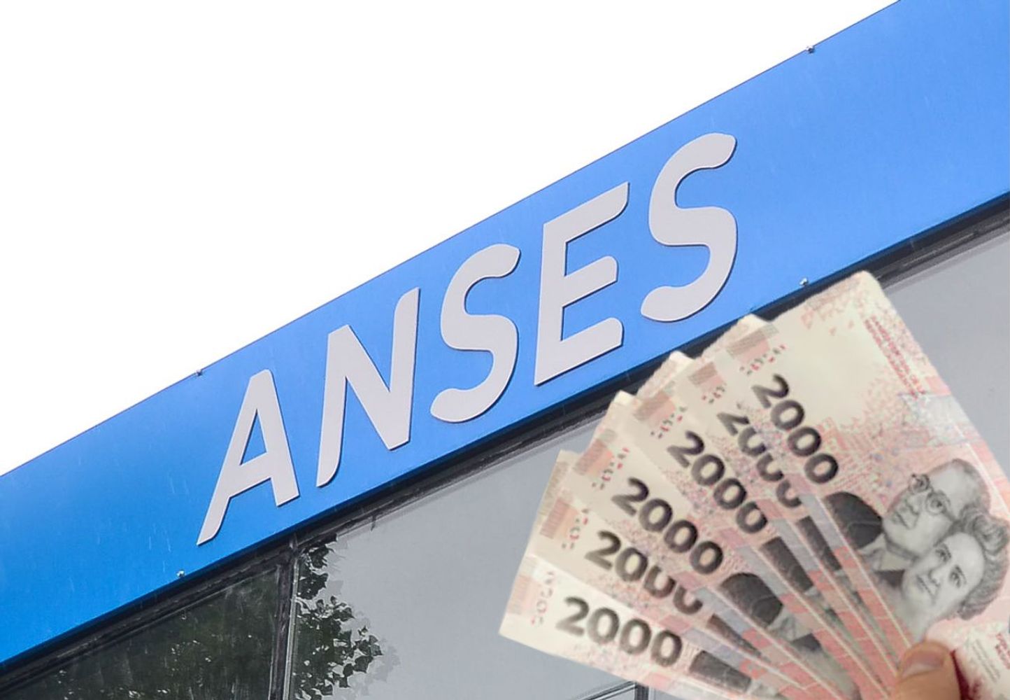 ANSES