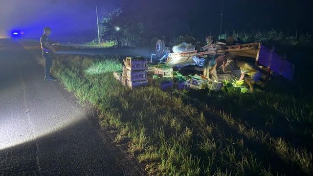 Colonia Mado: volcó un camión en la Ruta 12 tras una falla mecánica.