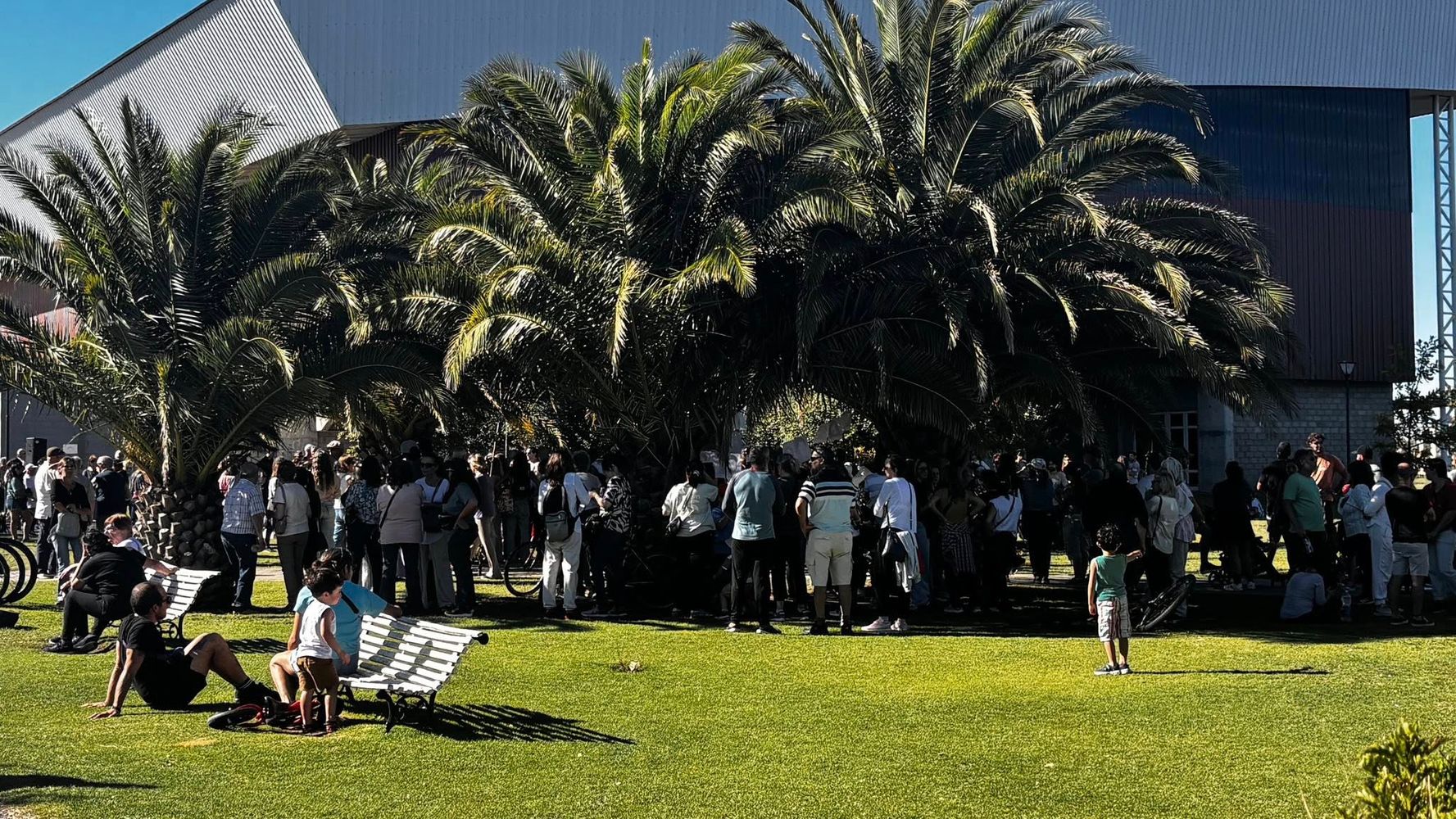 Día de la Memoria