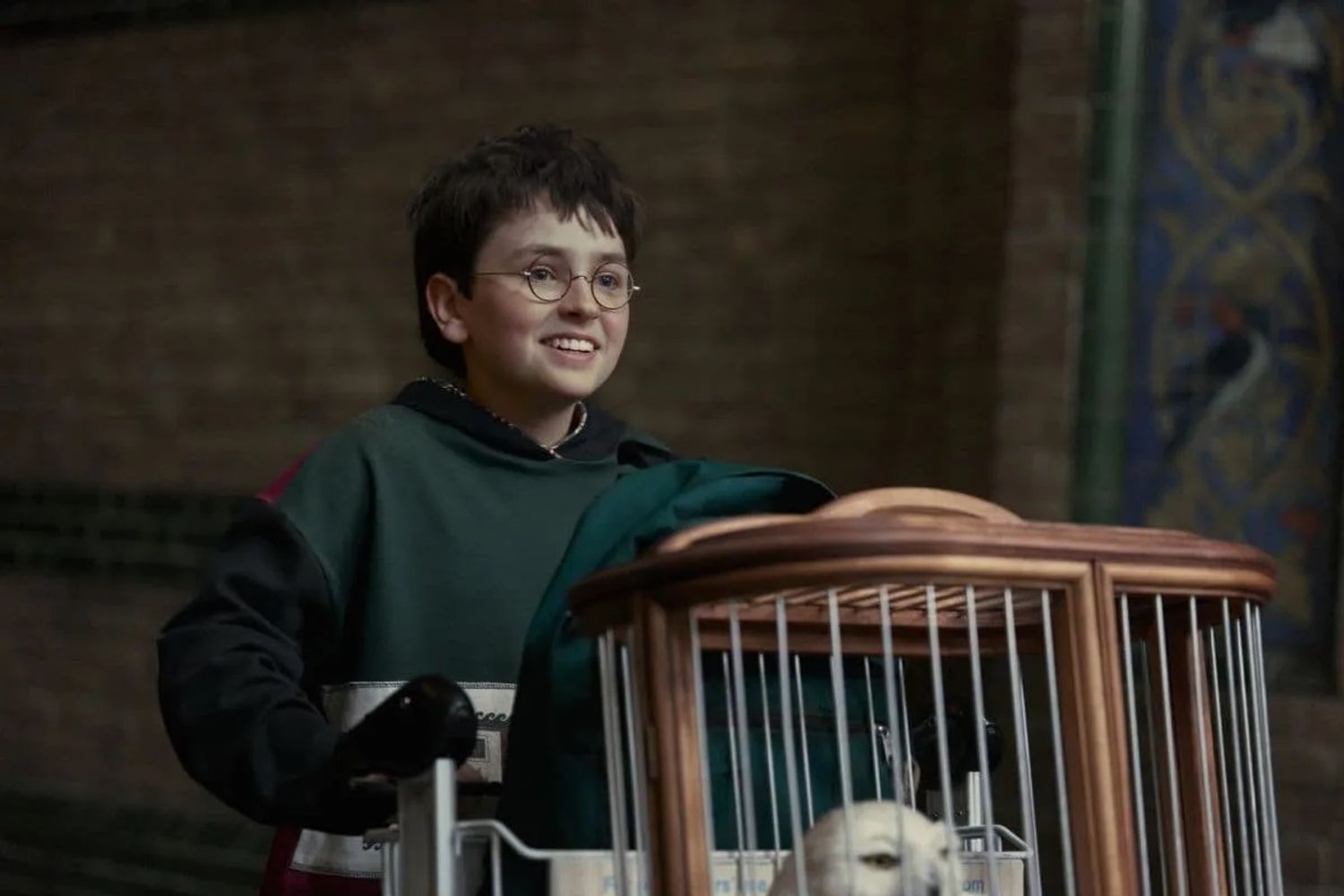 La nueva serie de Harry Potter.