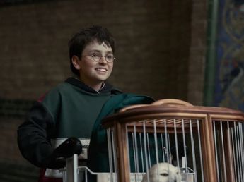¿Cuándo se estrena la nueva serie de Harry Potter?