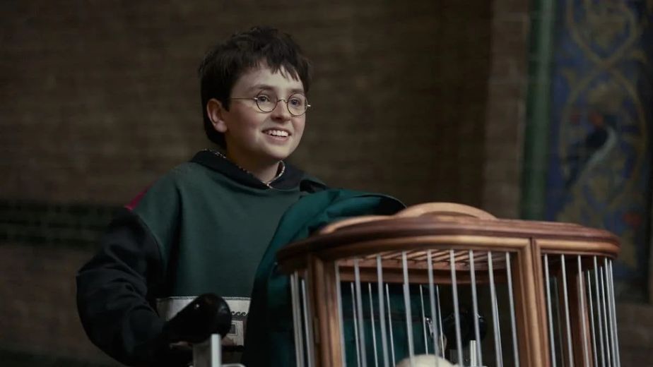 ¿Cuándo se estrena la nueva serie de Harry Potter?