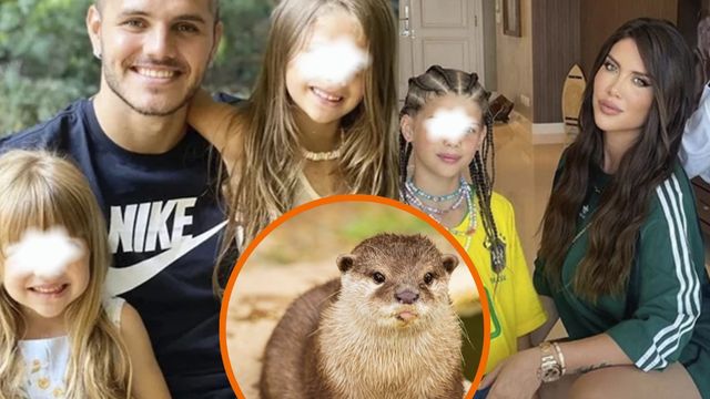 Aseguran que las hijas de Wanda Nara y Mauro Icardi habrían pescado y comido una nutria en Nordelta.