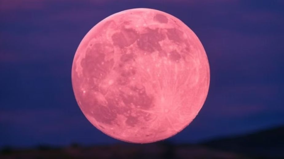 Cuándo ver la Luna Rosa de abril 2026 en la Argentina y cuál es su significado