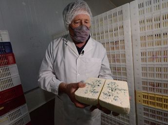 Día Mundial del Queso: el "Emperador" de Córdoba que conquistó el paladar del país con su queso azul