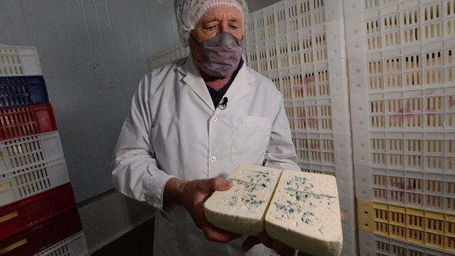Uno de los creadores del queso azul de Córdoba, que brilla en el continente.