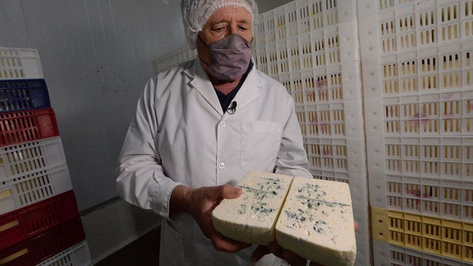 Día Mundial del Queso: el "Emperador" de Córdoba que conquistó el paladar del país con su queso azul