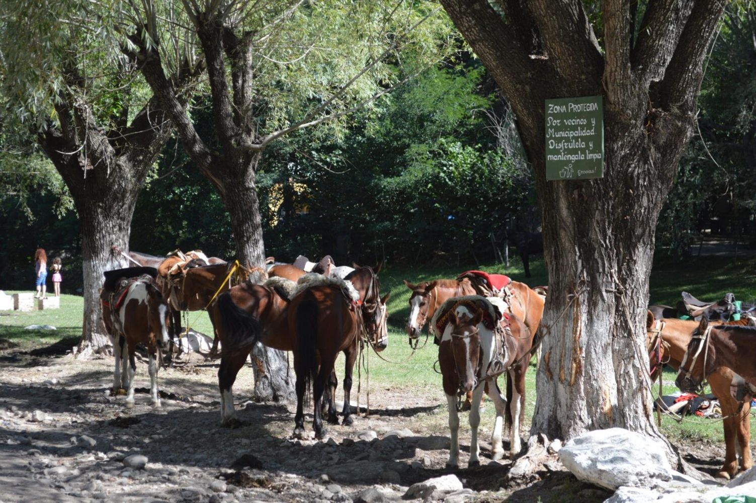 Huerta Grande: caminata por el Mes de la Mujer e inauguración de un nuevo mirador