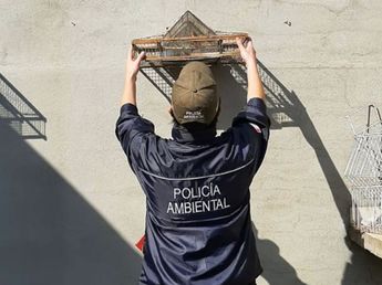 Terror en la madrugada: capturaron un animal de dos metros en una casa de Córdoba