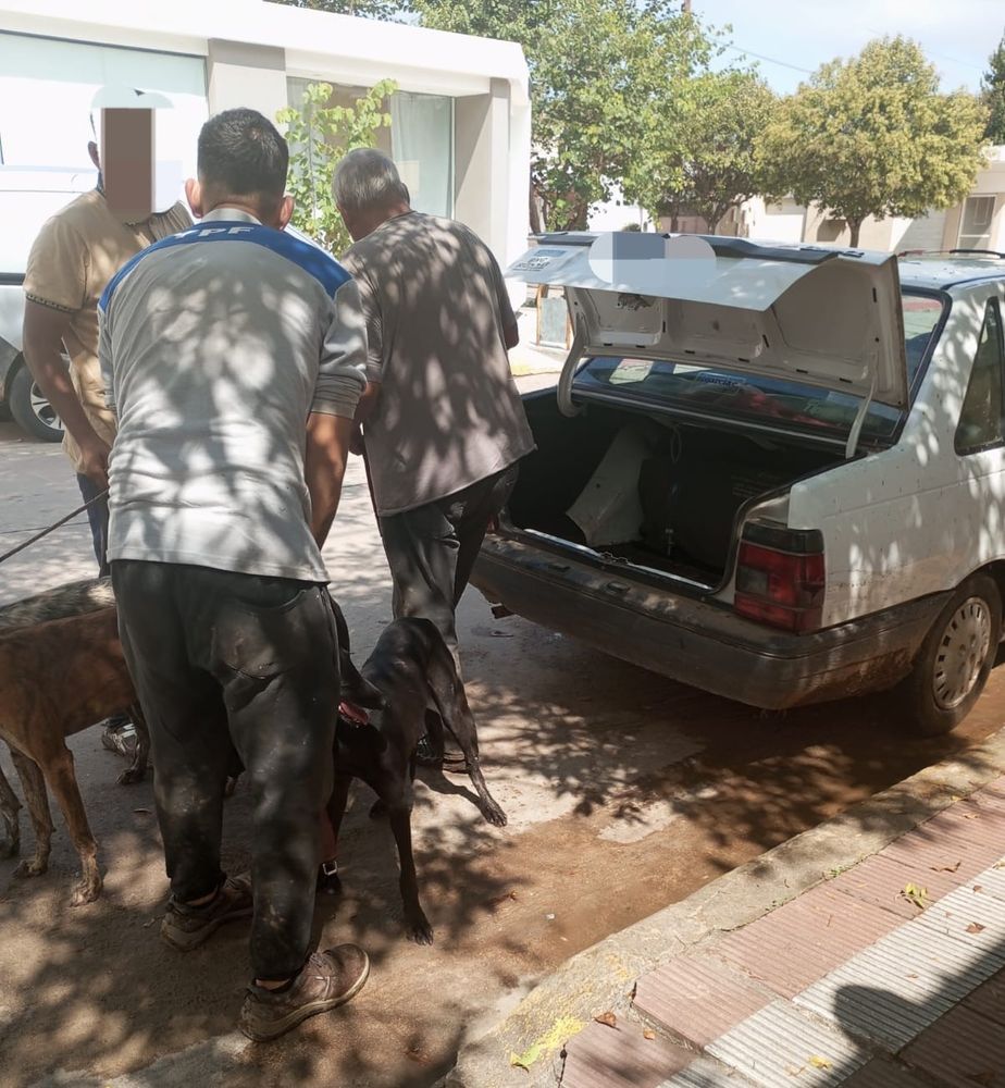 La Patrulla Rural detuvo a 3 hombres con 4 perros galgos en un auto en El Fuertecito