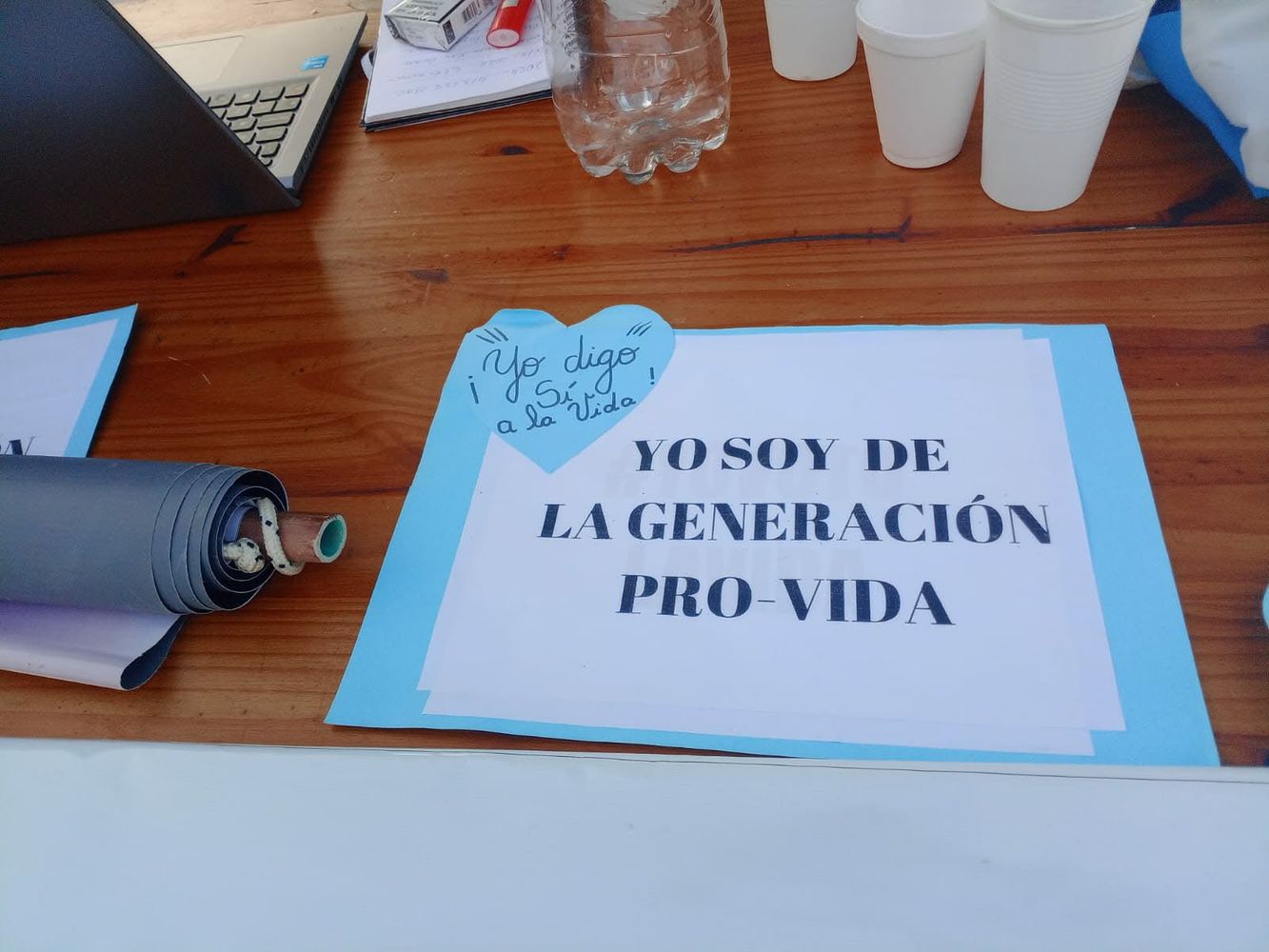 Punta Alta se sumó a la Marcha Provida junto al resto del país