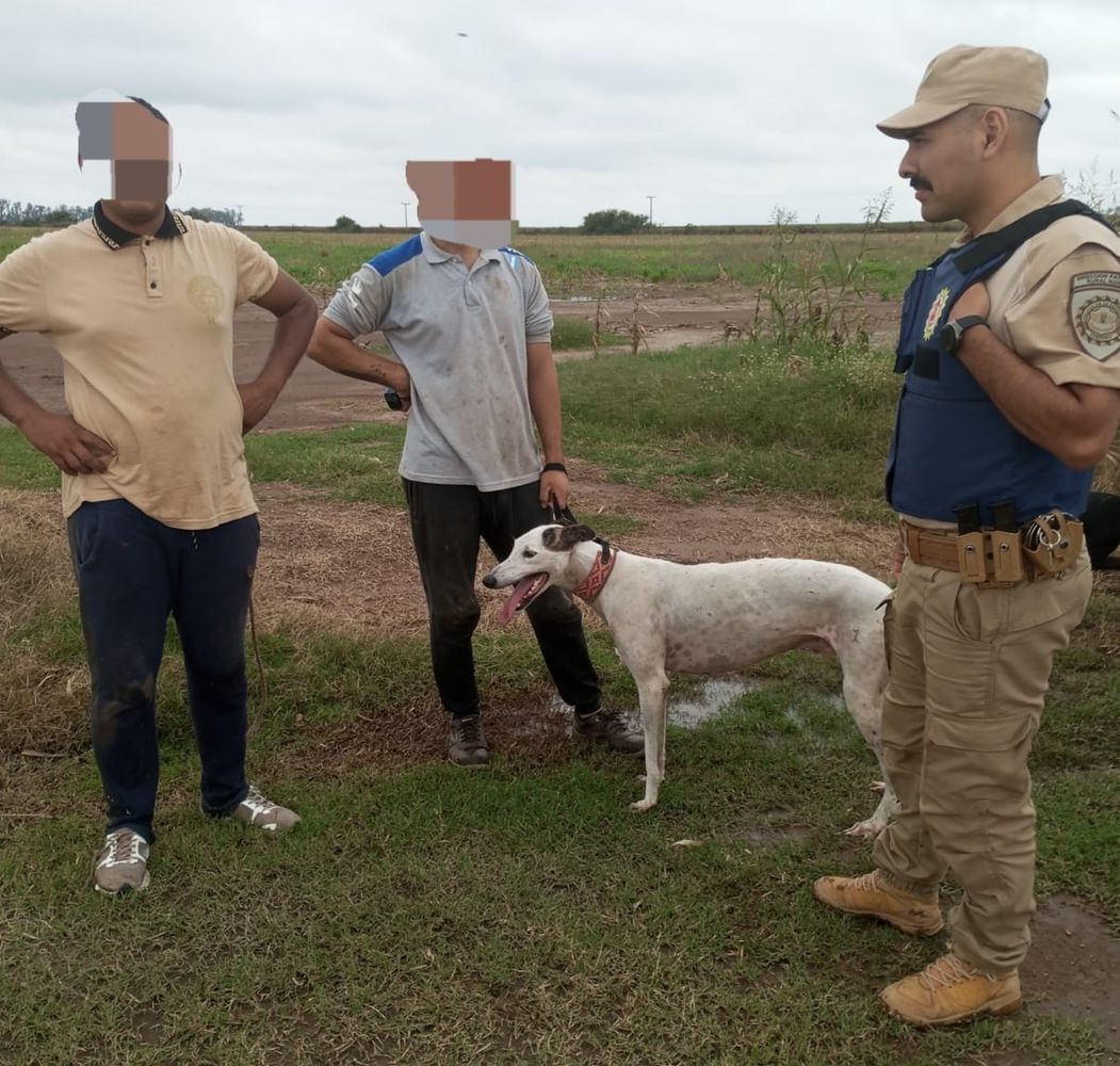 La Patrulla Rural detuvo a 3 hombres con 4 perros galgos en un auto en El Fuertecito
