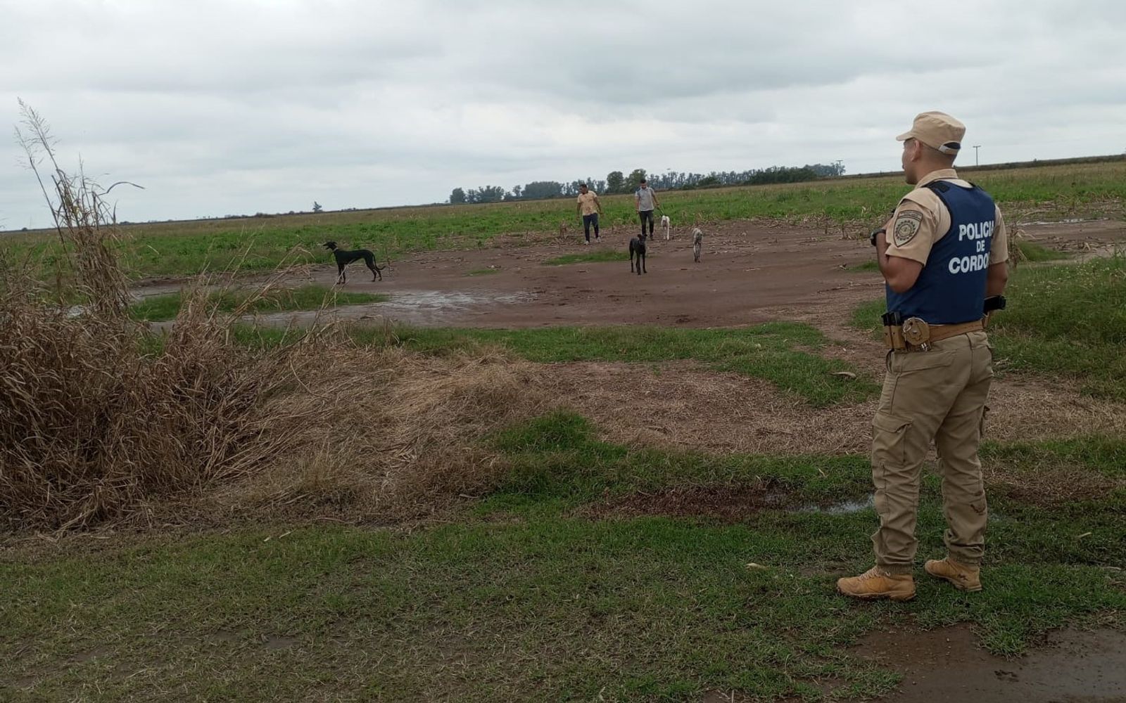 La Patrulla Rural detuvo a 3 hombres con 4 perros galgos en un auto en El Fuertecito