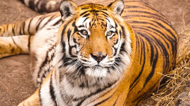 Diego falleció a los 21 años en el Parque de la Biodiversidad.