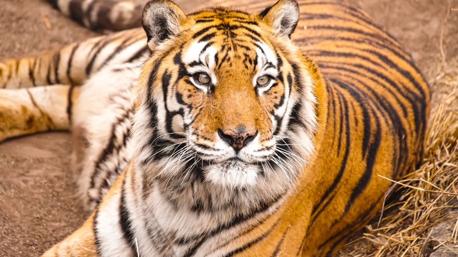 Diego falleció a los 21 años en el Parque de la Biodiversidad. 