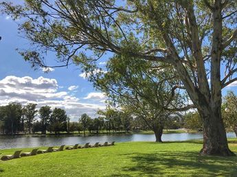Viernes con temperatura máxima de 24 °C en Carlos Paz
