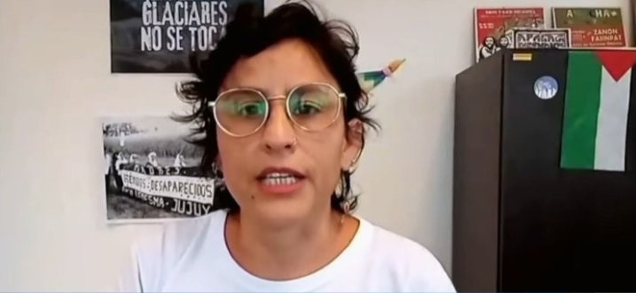 La diputada del bloque PTS FITU en la Legislatura de Jujuy, durante su intervención en la audiencia pública abierta en el Congreso para escuchar opiniones sobre la reforma a la Ley de Glaciares.