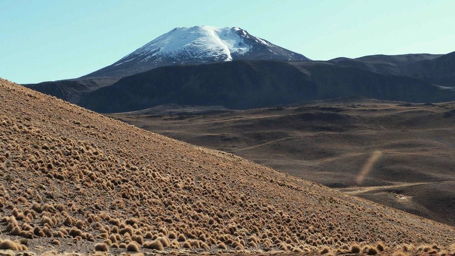 "Les interesa tres pepinos, ya lo tienen arreglado", denunció Morales sobre la Ley de Glaciares