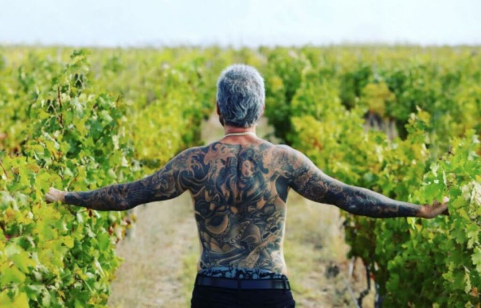 Tinelli