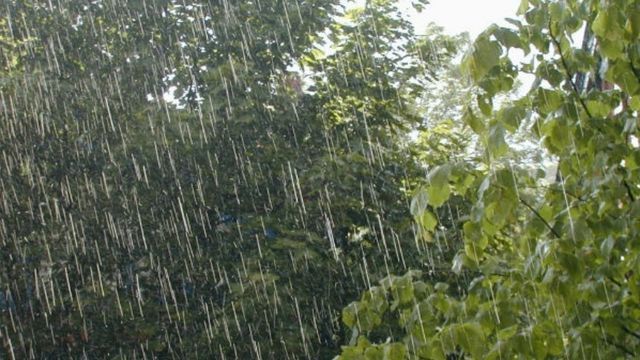 Las consecuencias de las tormentas en Córdoba.