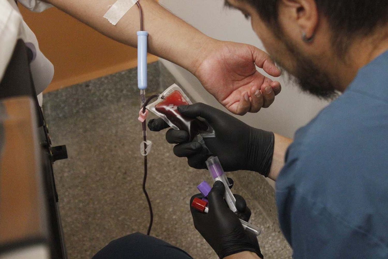 Donación de médula.