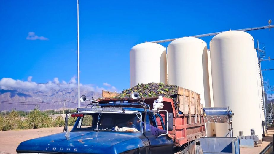Fiambalá refuerza su capacidad productiva en la sexta semana de cosecha.