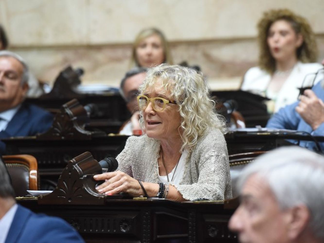La diputada Mónica Frade presentó la denuncia.