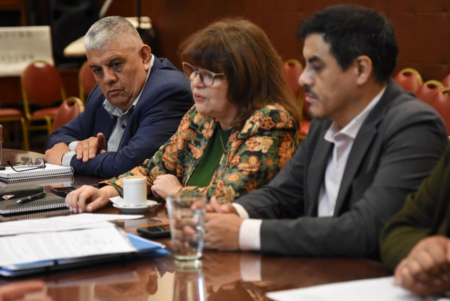 La diputada Mariela del Valle Ortiz condujo la reunión de la Comisión de Cultura y Turismo de la Legislatura.