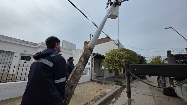 Retiran postes de fibra óptica instalados sin autorización