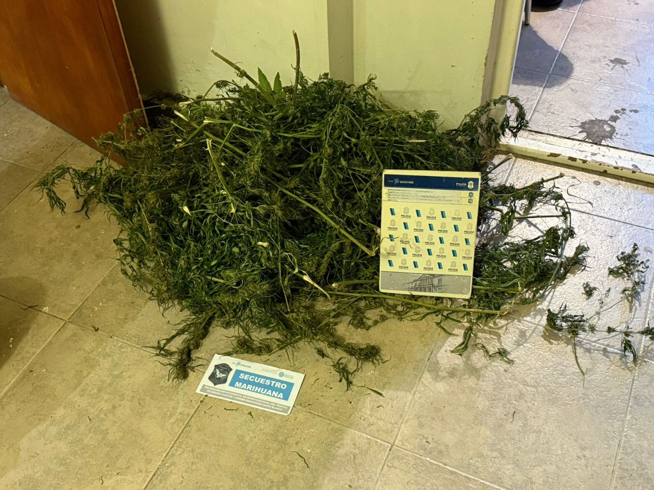 secuestro de marihuana