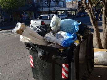 Alerta en Córdoba: murió un hombre por leptospirosis, una peligrosa bacteria transmitida por animales
