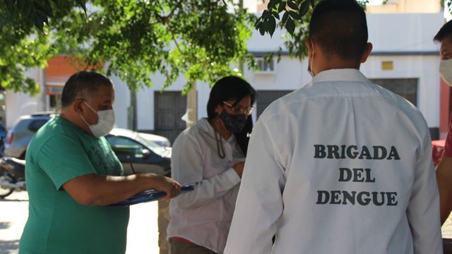 Catamarca vuelve a poner el foco en los criaderos del Aedes aegypti