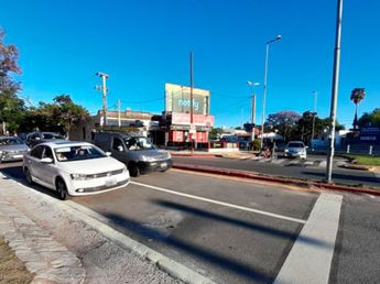 Encontraron un inconfundible animal oculto en un auto en Córdoba: el insólito rescate