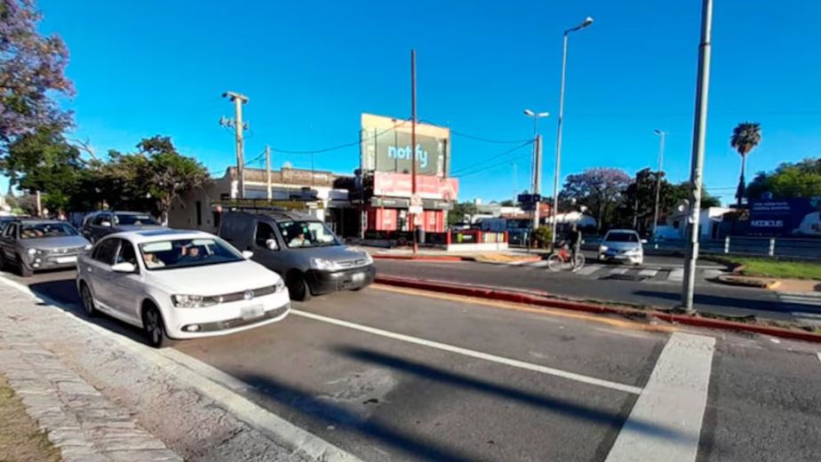 Encontraron un inconfundible animal oculto en un auto en Córdoba: el insólito rescate