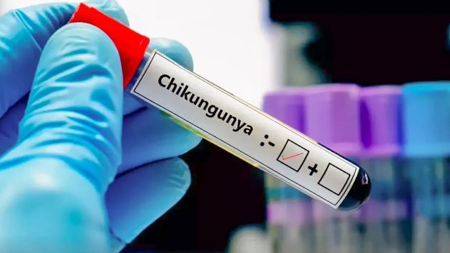 Confirmaron en Córdoba otros tres casos de chikunguña; en qué lugares de la provincia