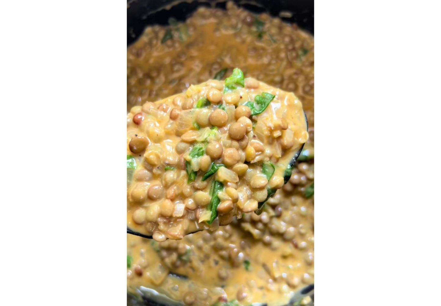 Así de cremoso queda el curry de lentejas cremoso.